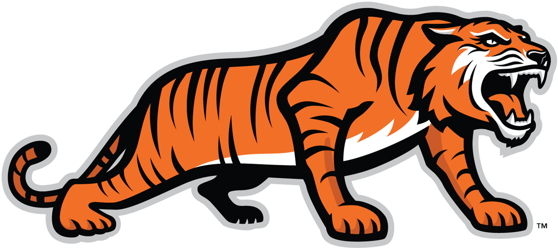 RIT Tigers 2004-Pres Alternate Logo v3 diy fabric transfer
